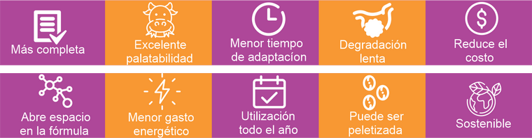 Aimeria Beneficios