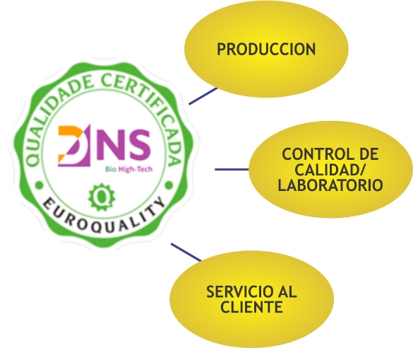 Preservación DNS