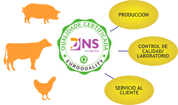 Preservación Dansa S.A.